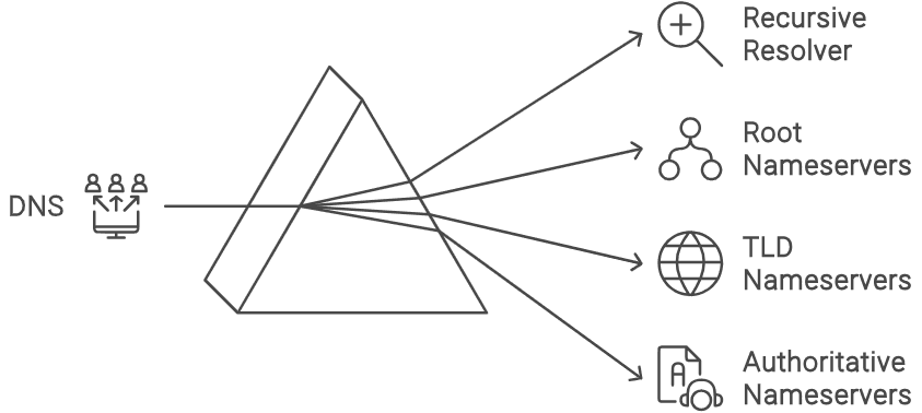 image1.png